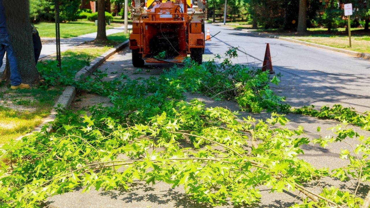 Elektrikli Dal tleme Makineleri zellikleri